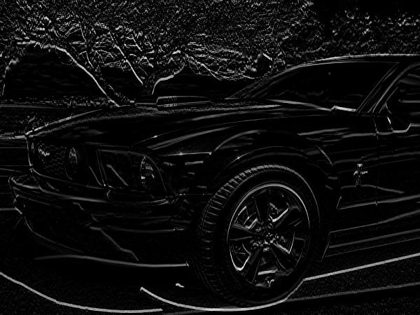 Ponies on The Run!-img_0119r1.jpg