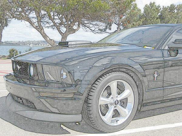 Ponies on The Run!-img_0119r2.jpg