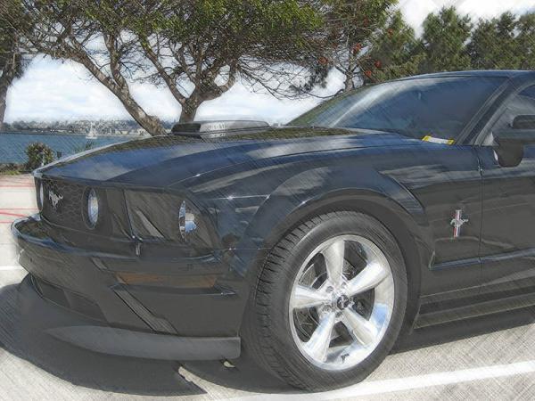 Ponies on The Run!-img_0119r3.jpg