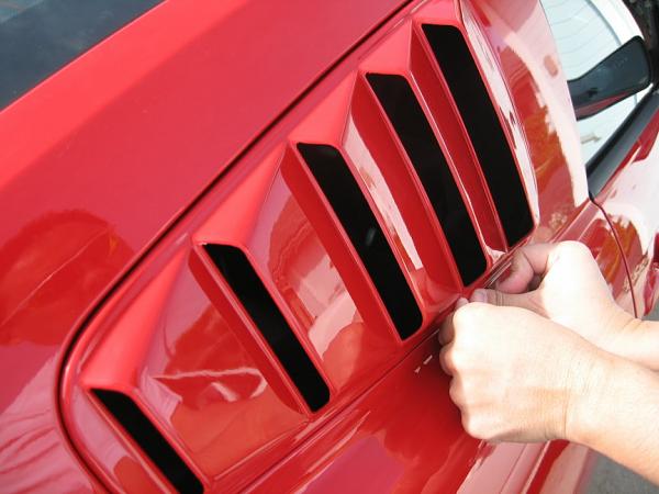 Ponies on The Run!-img_2607r.jpg