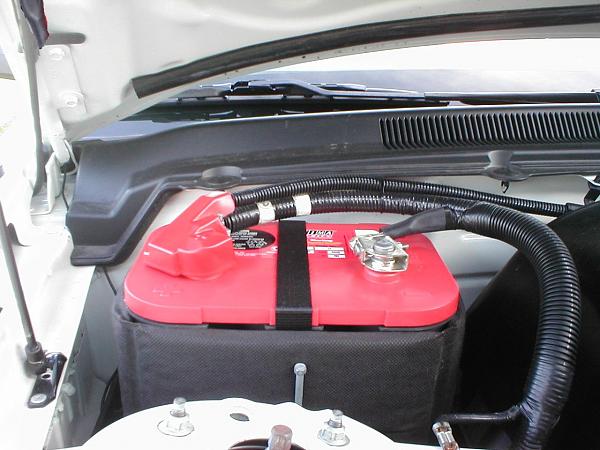 Ponies on The Run!-p1010217.jpg