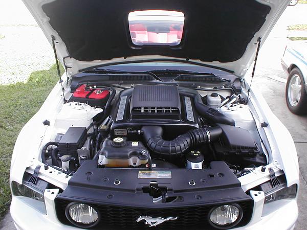 Ponies on The Run!-p1010219.jpg