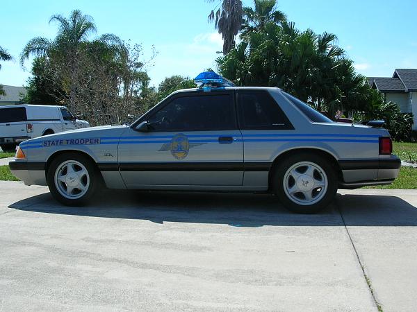 Ponies on The Run!-dscn5260.jpg