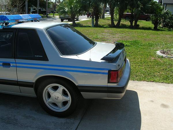 Ponies on The Run!-dscn5261.jpg