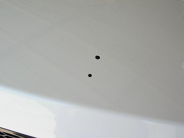 Ponies on The Run!-dscn5263.jpg