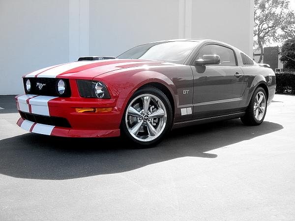 Ponies on The Run!-img_2632.jpg