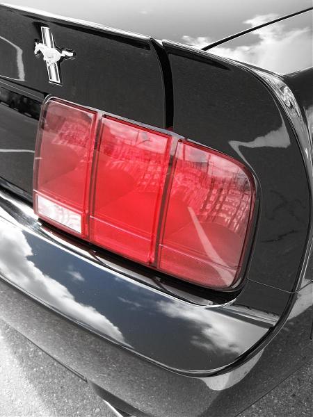 Ponies on The Run!-img_0134-1.jpg