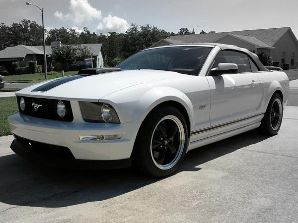 Ponies on The Run!-dscn3670-1.jpg