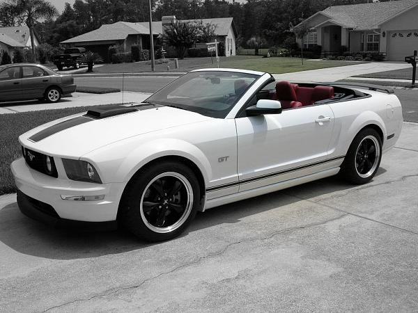 Ponies on The Run!-dscn3697-1.jpg