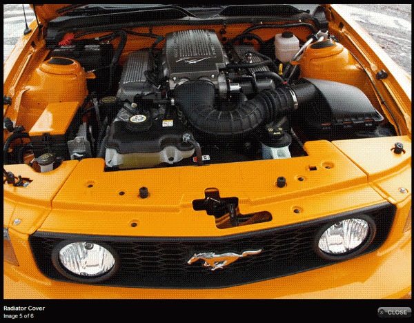 Ponies on The Run!-orange.gif