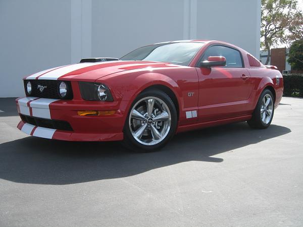 Ponies on The Run!-bill-bwtest.jpg