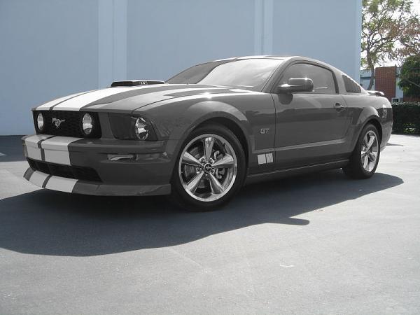 Ponies on The Run!-bill-bw-colorback.jpg