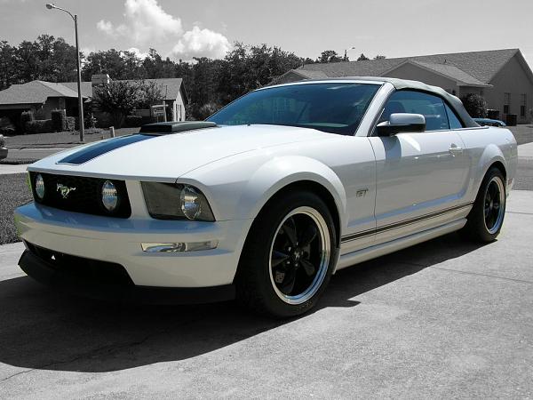 Ponies on The Run!-tom-bw-colorcar.jpg