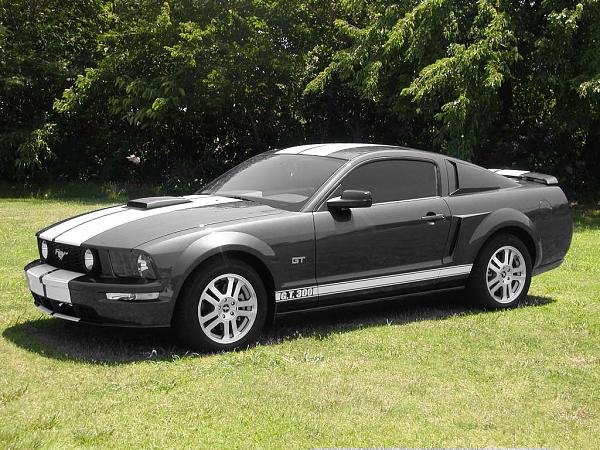 Ponies on The Run!-colorback.jpg