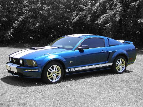 Ponies on The Run!-colorcar.jpg