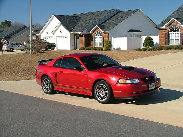 Ponies on The Run!-2000-stang.jpg