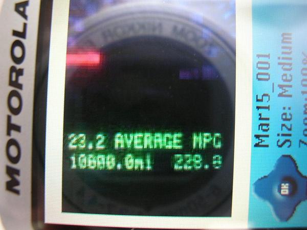 Ponies on The Run!-dscn5271.jpg