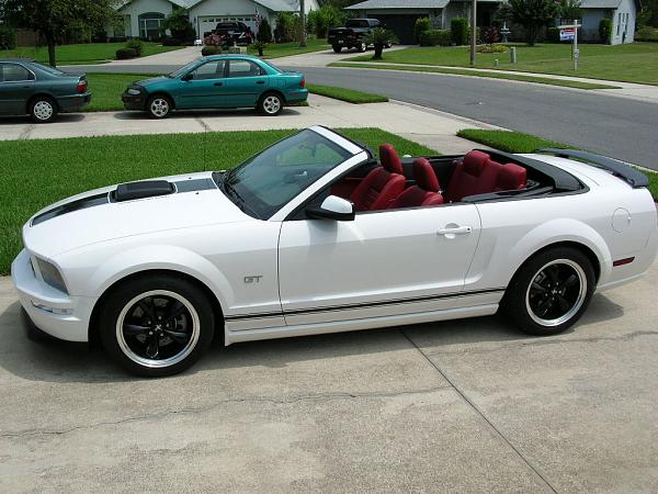 Ponies on The Run!-dscn3703.jpg