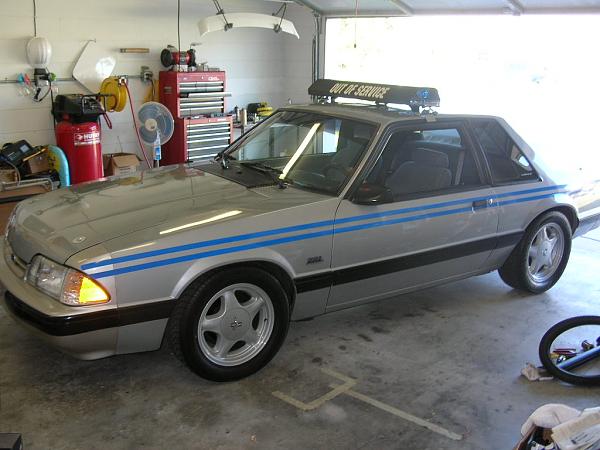 Ponies on The Run!-dscn5275.jpg