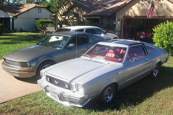 Ponies on The Run!-000_0007-2a.jpg