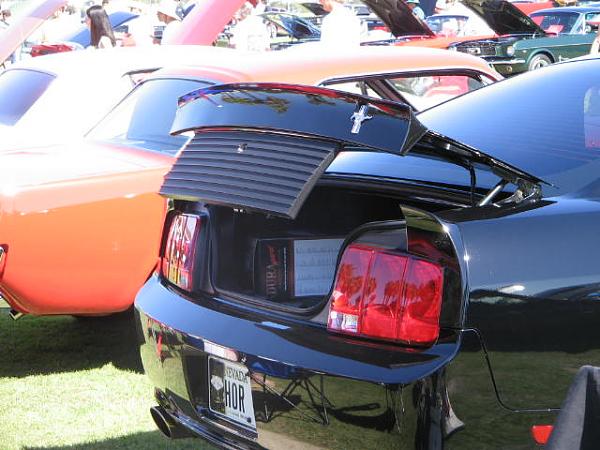 Ponies on The Run!-img_2221.jpg