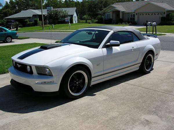 Ponies on The Run!-dscn3666.jpg