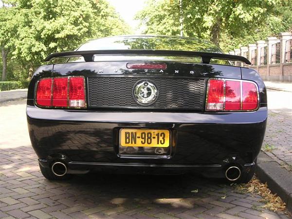 Ponies on The Run!-picture-20039.jpg