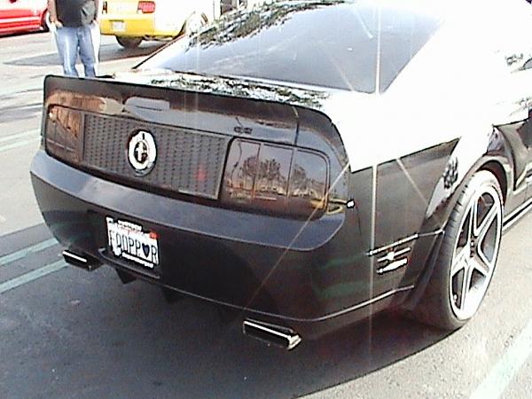 Ponies on The Run!-dsc00058.jpg