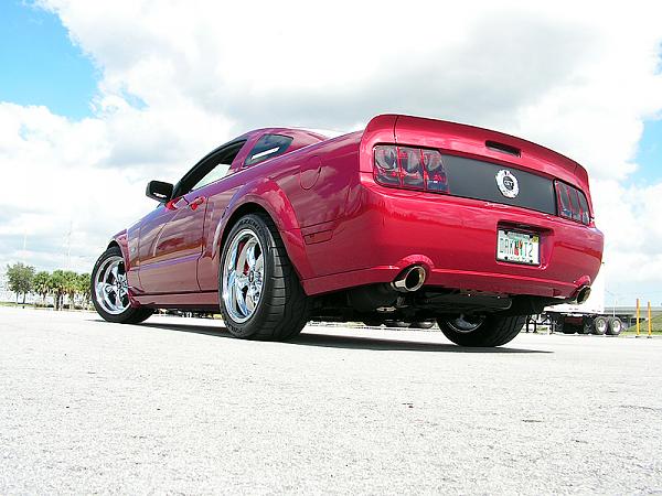 Ponies on The Run!-pict2460.jpg