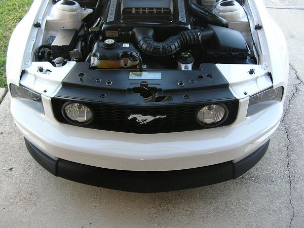 Ponies on The Run!-dscn5336.jpg