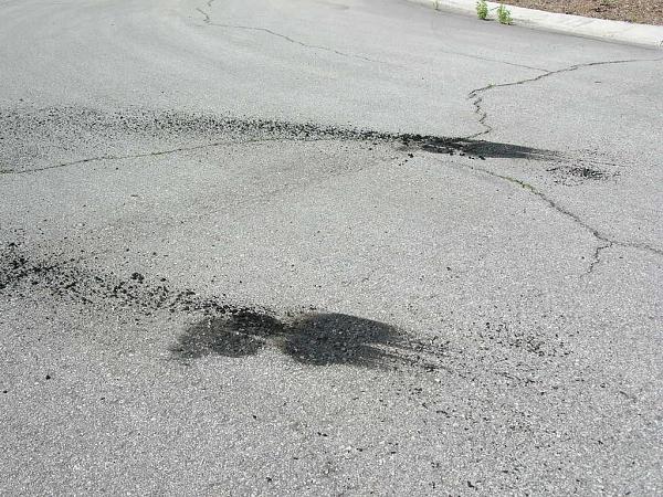 Ponies on The Run!-dscn5312.jpg