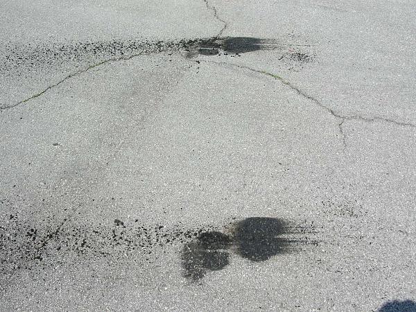 Ponies on The Run!-dscn5311.jpg