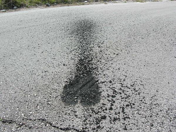 Ponies on The Run!-dscn5309.jpg