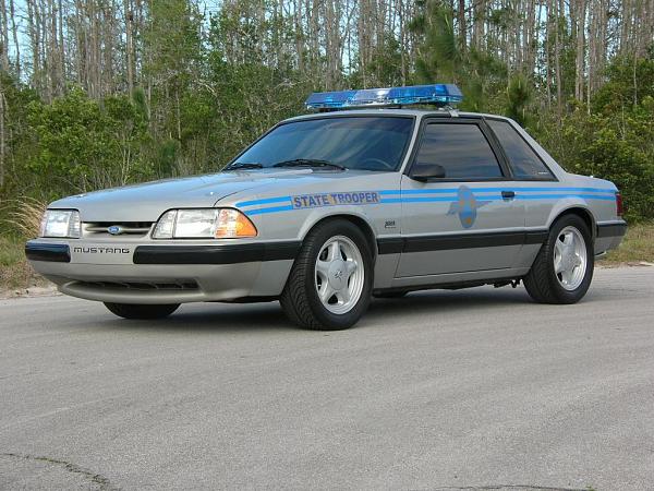 Ponies on The Run!-dscn5299.jpg