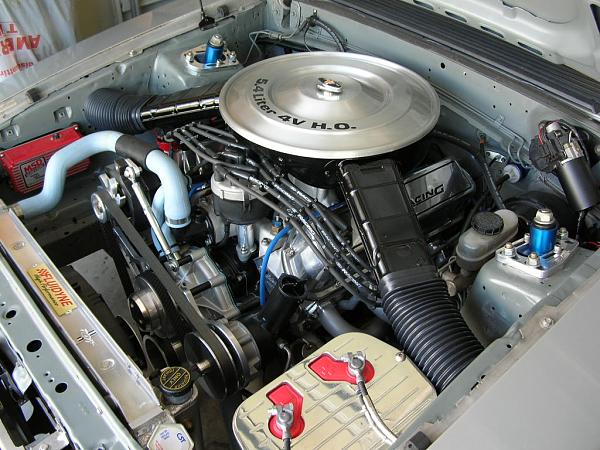 Ponies on The Run!-dscn3743.jpg