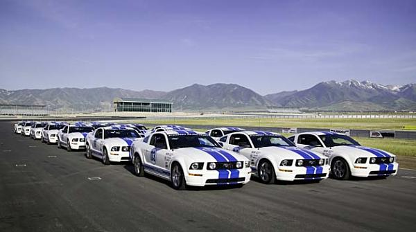 Ponies on The Run!-96fs8536.jpg