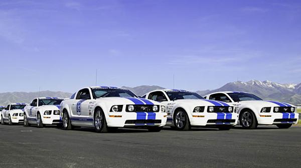 Ponies on The Run!-96fs8539.jpg