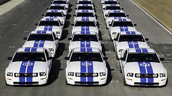 Ponies on The Run!-96fs8544.jpg