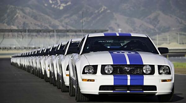 Ponies on The Run!-96fs8619.jpg