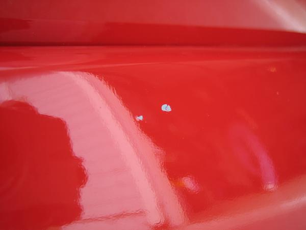 Ponies on The Run!-img_2396.jpg