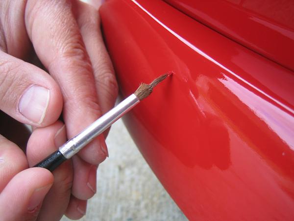 Ponies on The Run!-img_2401.jpg