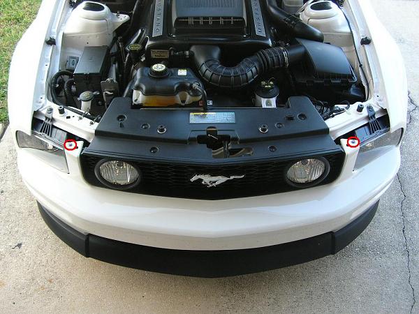 Ponies on The Run!-dscn5325b.jpg