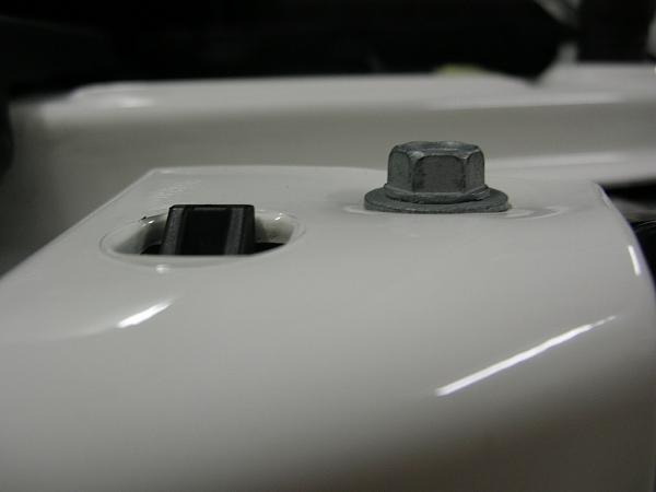 Ponies on The Run!-dscn5363.jpg