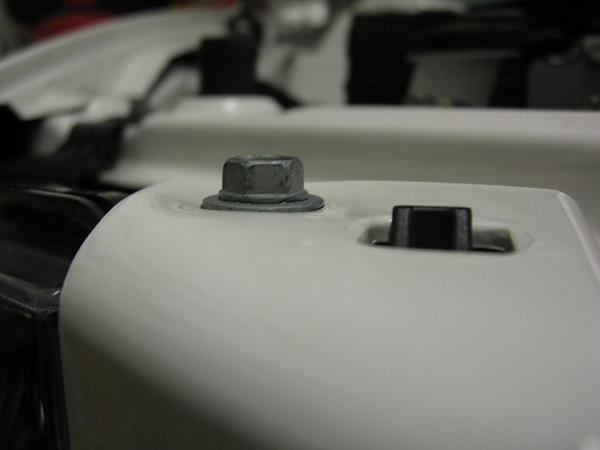 Ponies on The Run!-dscn5365.jpg