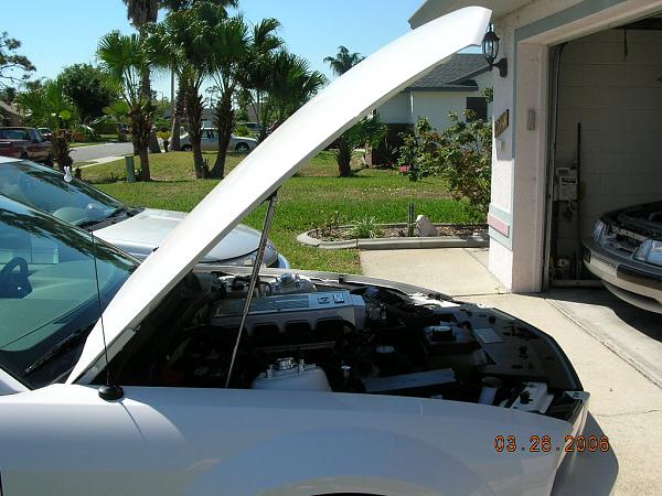 Ponies on The Run!-dscn2814.jpg