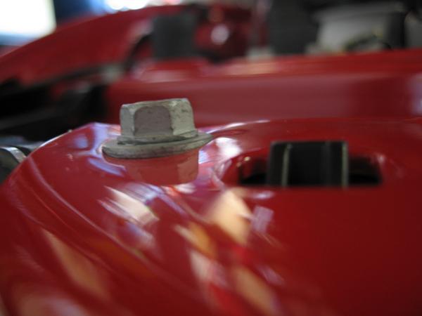 Ponies on The Run!-img_2821.jpg