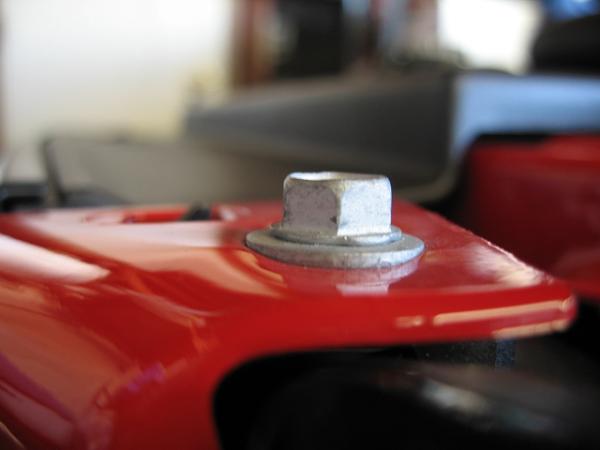 Ponies on The Run!-img_2828.jpg