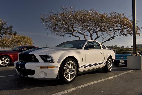 Ponies on The Run!-067.jpg