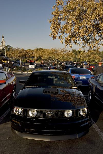 Ponies on The Run!-026.jpg