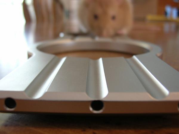 Ponies on The Run!-dscn5371.jpg